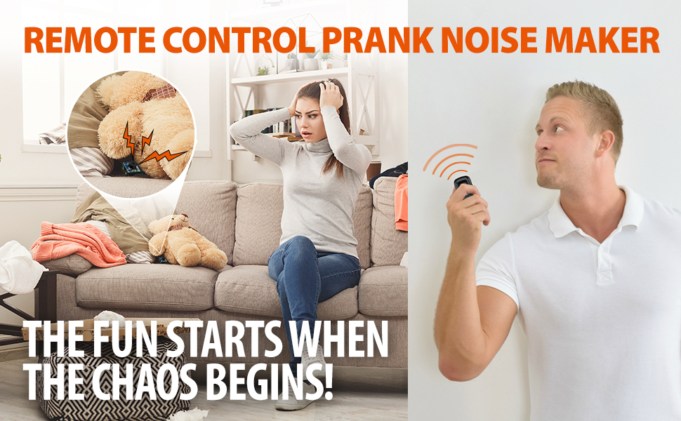 cricket noise maker prank with remote