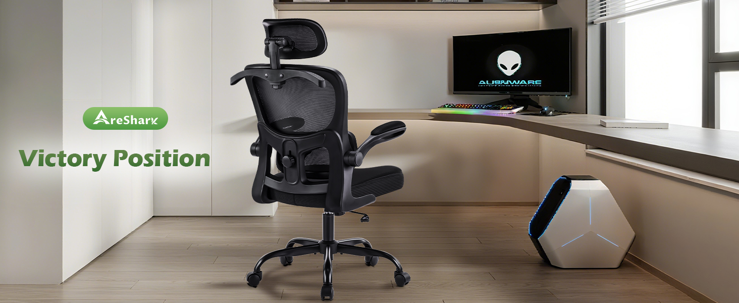 ergonomic desk chair