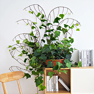 Wire Holders for Wall