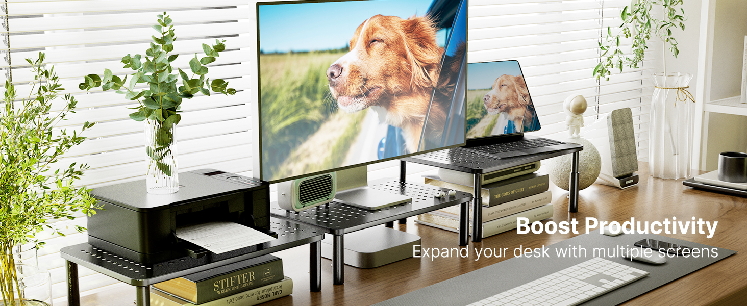 Monitor Stand